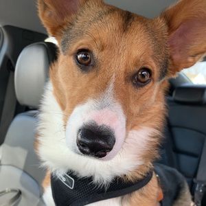 Met your posher, Michelle